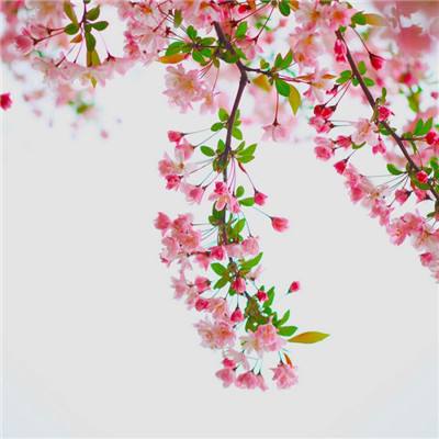 大发国际app下载